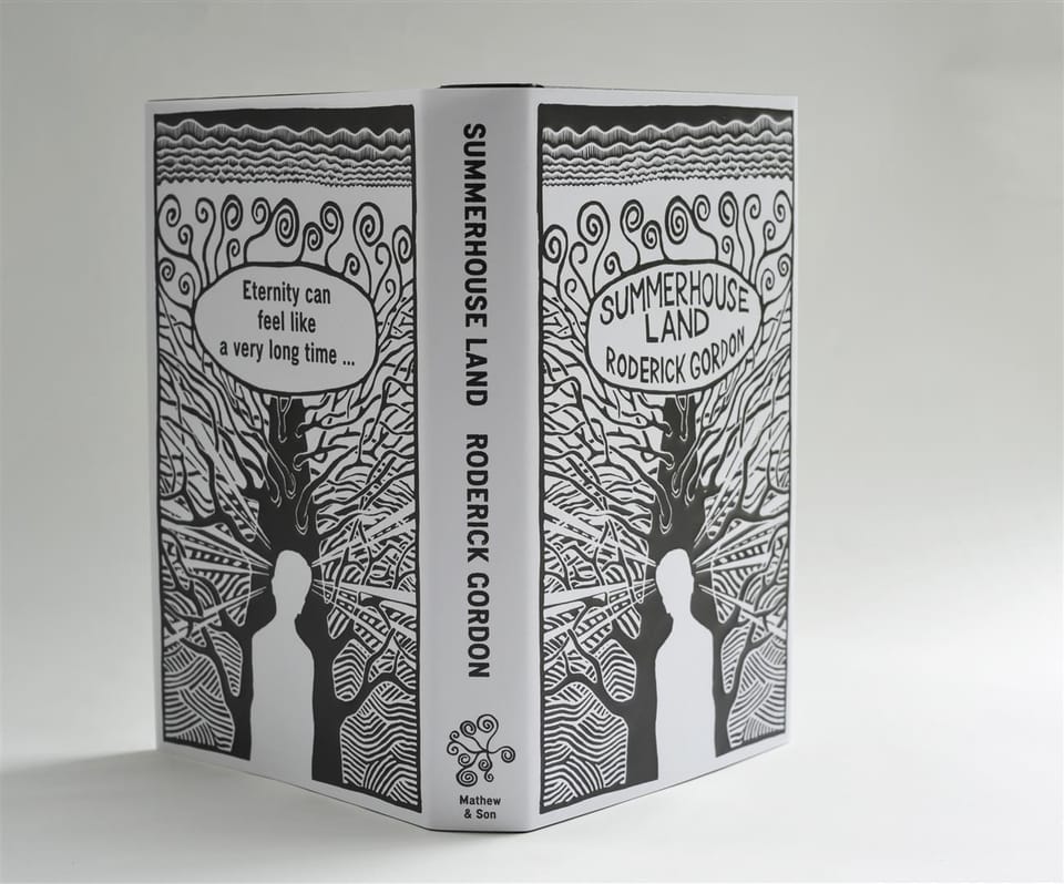 Two jacketed copies side by side showing the front cover and the back cover blurb.