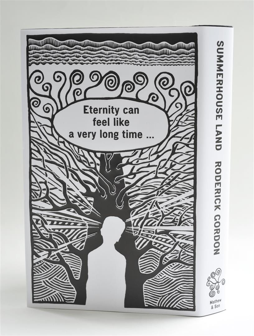 The jacketed hardback angled to show the back cover text and the spine.